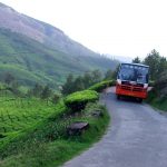 Bus Driver