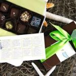 Break Free from Inertia - Sirenetta